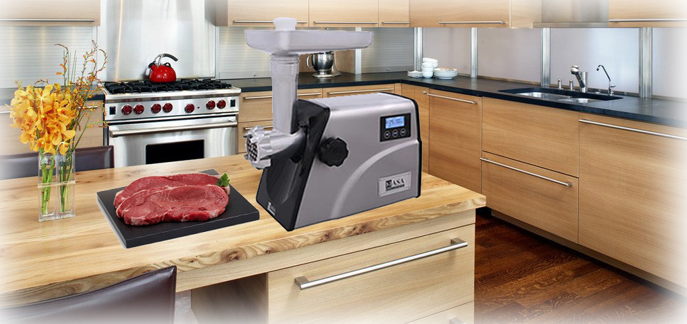 چرخ گوشت ناسا الکتریک NS-314