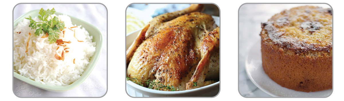 پلوپز-آرام پز ناسا الکتریک NS-301