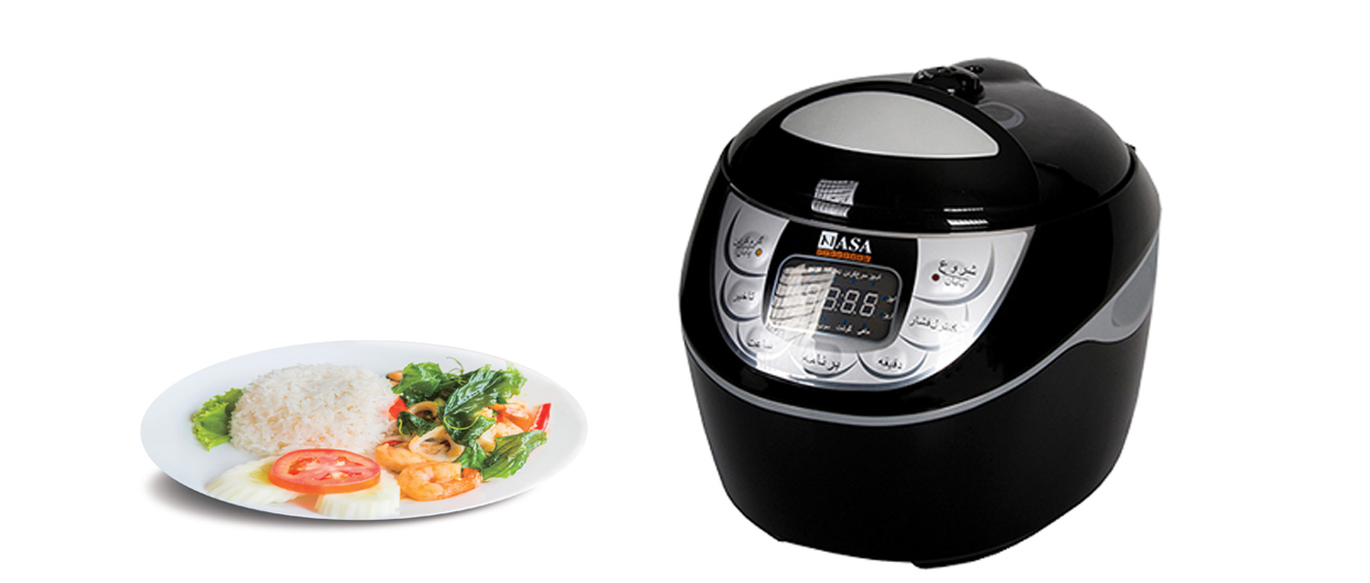 پلوپز-آرام پز ناسا الکتریک NS-301