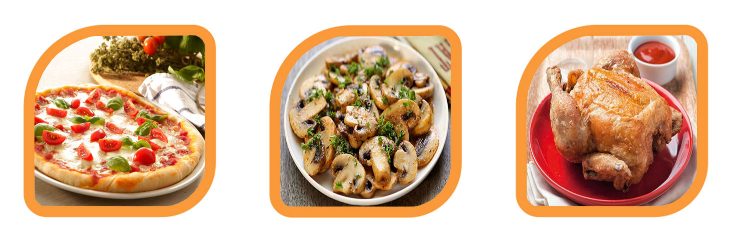 آون توستر ناسا الکتریک مدل   NS-2020